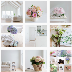 L'Atelier Photo | Photographier un bouquet de fleurs