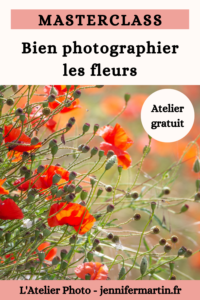 Les Lives de l'Atelier Photo | Bien photographier les fleurs