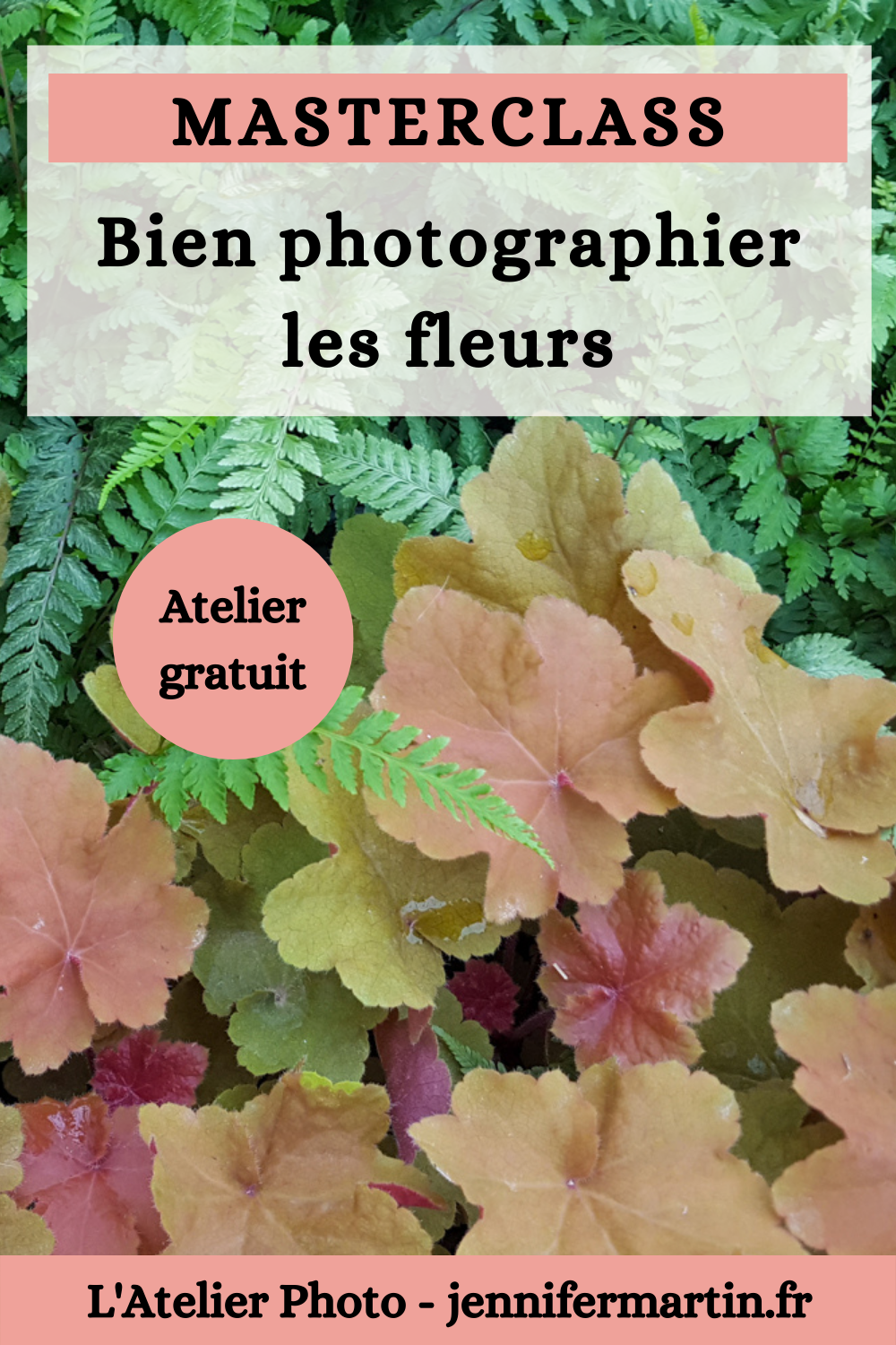 Les Lives de l'Atelier Photo | Bien photographier les fleurs
