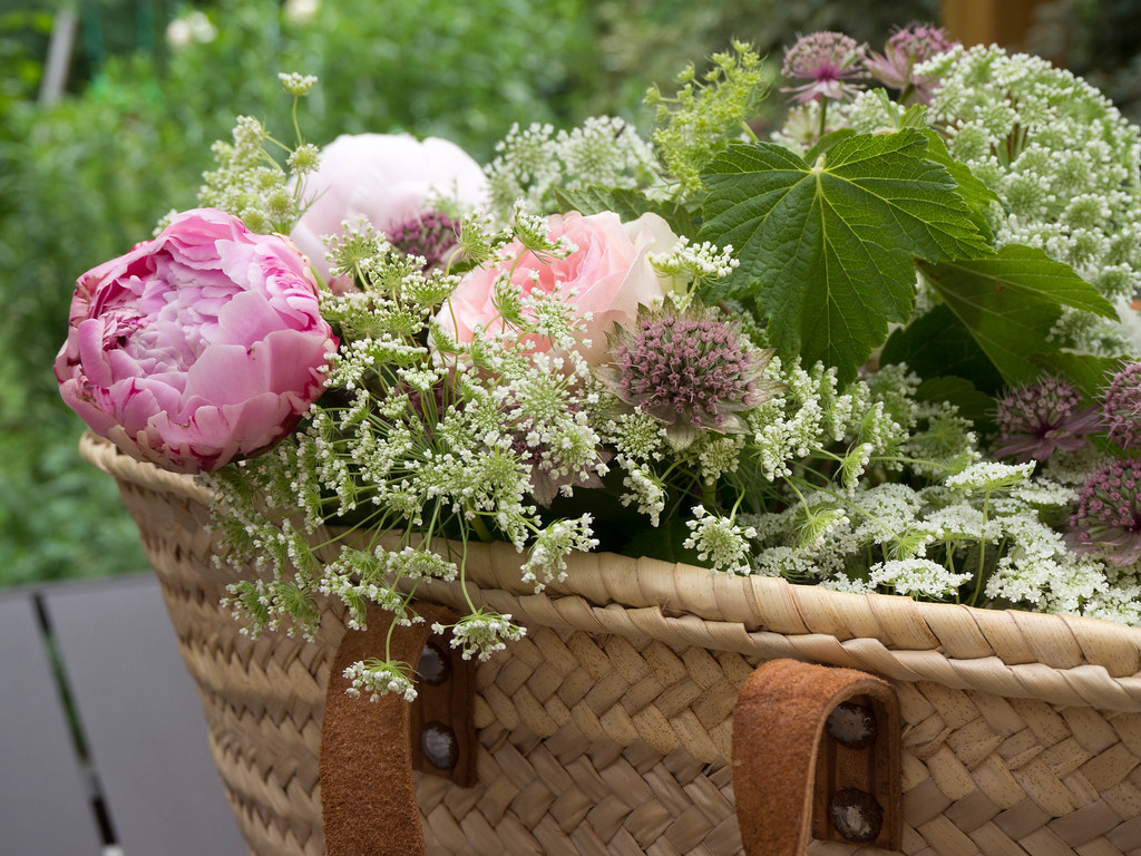 L'Atelier Photo | Photographier un bouquet de fleurs