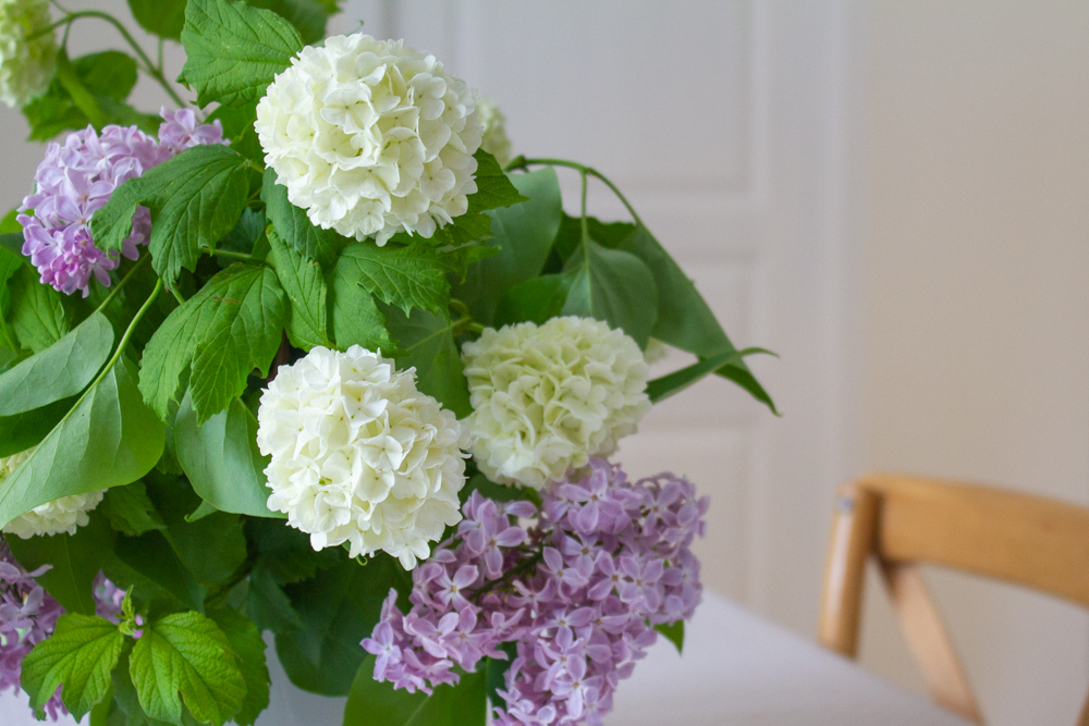 L'Atelier Photo | Photographier un bouquet de fleurs