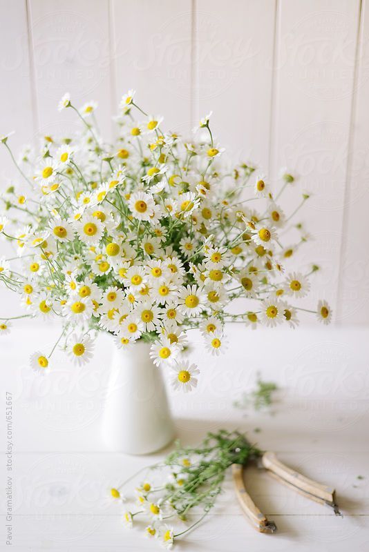 L'Atelier Photo | Photographier un bouquet de fleurs