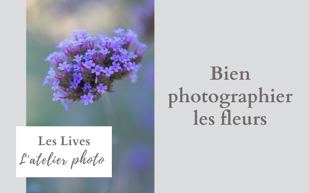 Les Lives de l'Atelier Photo | Bien photographier les fleurs
