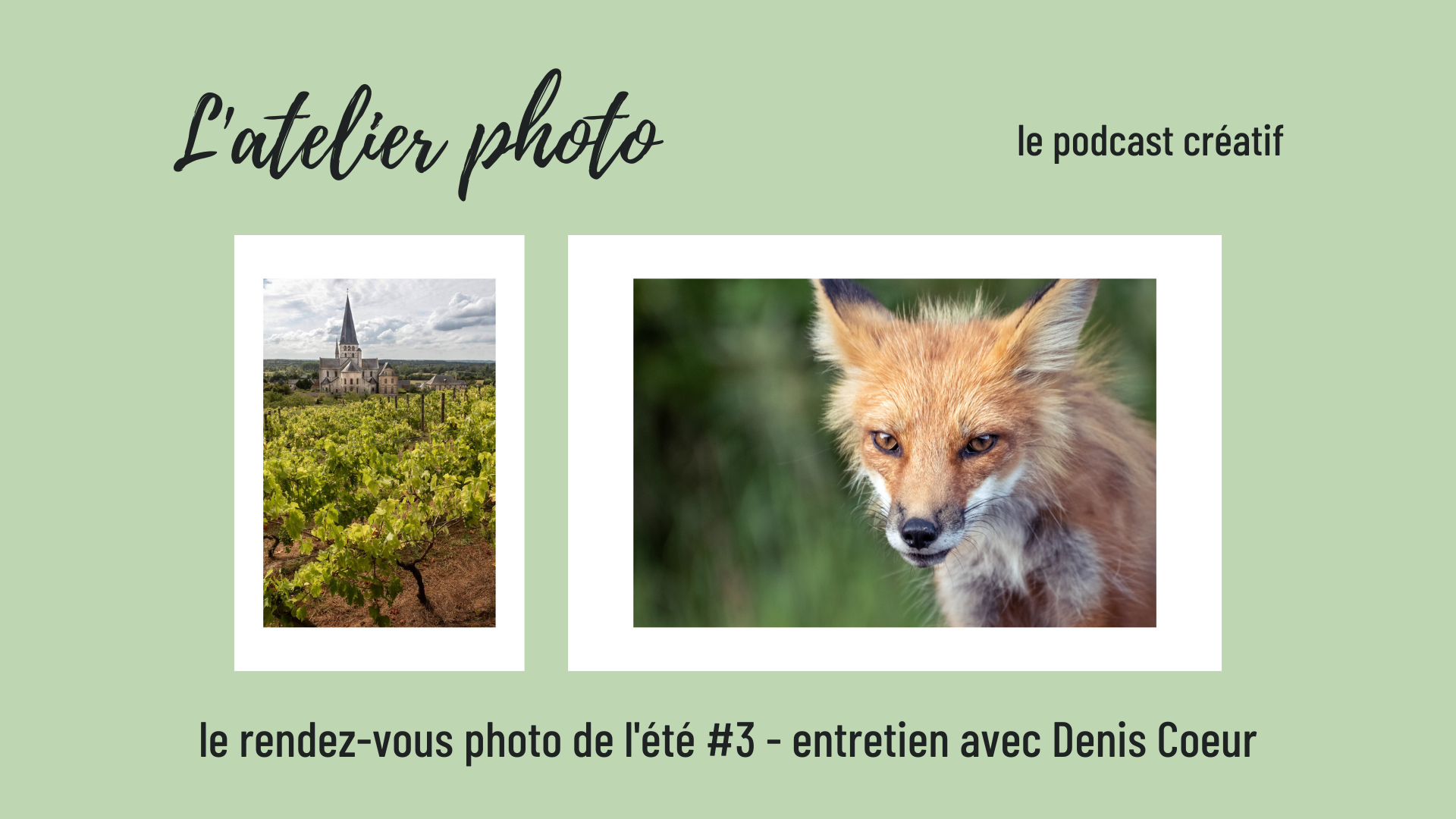Podcast l'Atelier Photo - le rendez-vous photo de l'été
