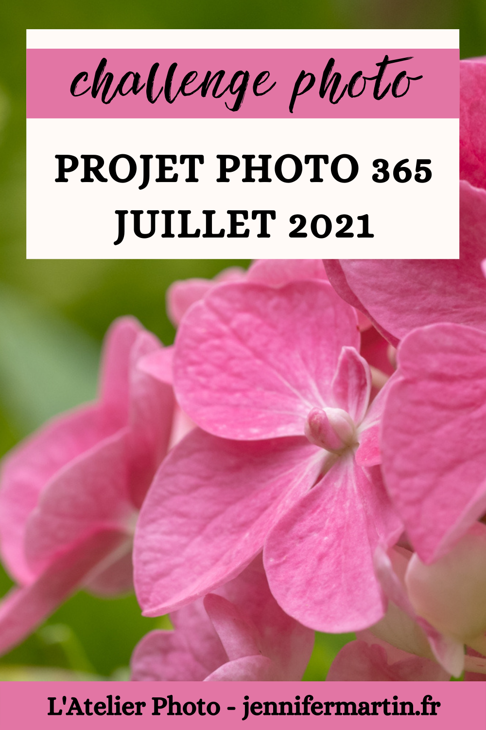 L'Atelier Photo | Projet 365 - Juillet 2021