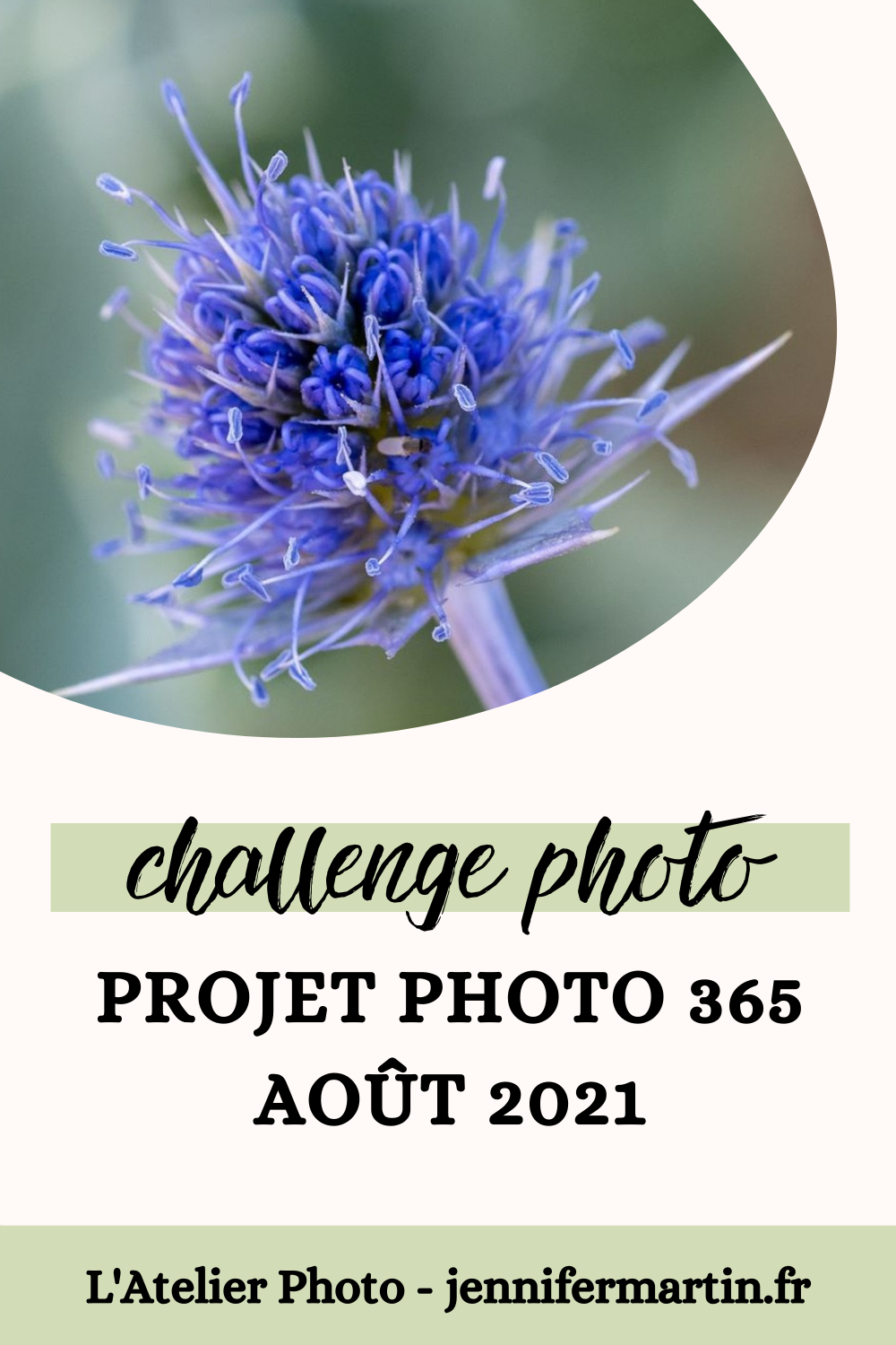 L'Atelier Photo | Projet 365 - Août 2021