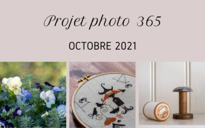 Mon projet photo 365 – octobre 2021