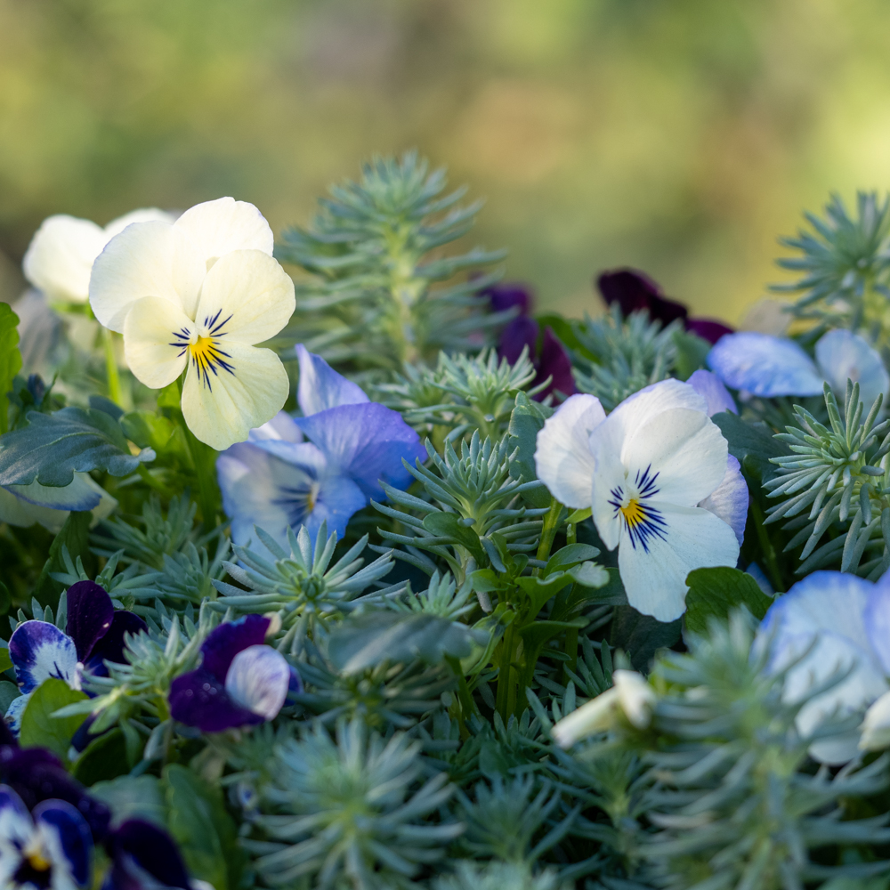 Les coulisses d'une photo | la composition florale