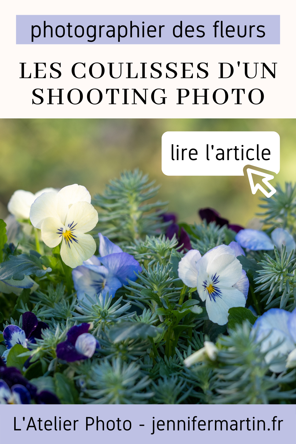 Les coulisses d'un shooting | Photographier des fleurs