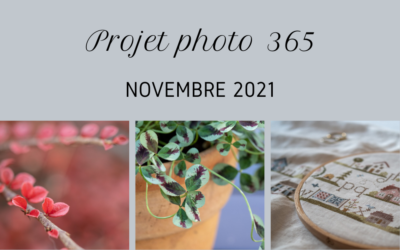 Mon projet photo 365 – novembre 2021