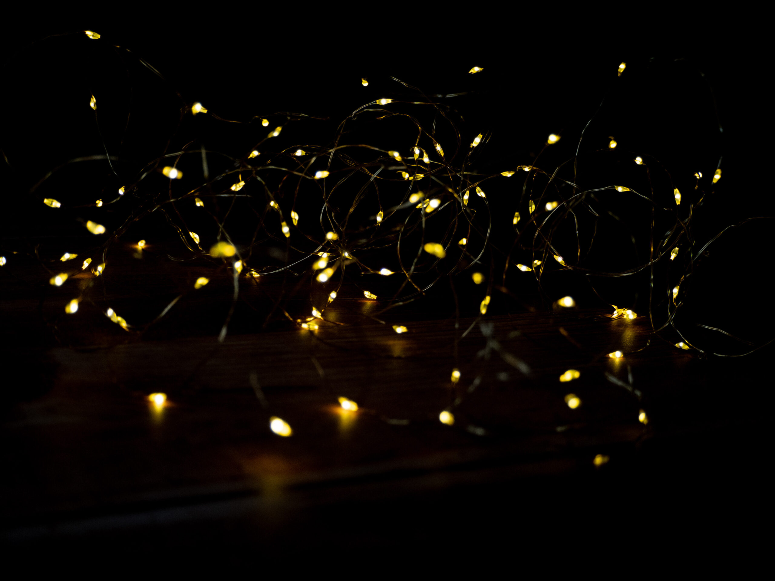 L'Atelier Photo | Photographier les lumières de Noël