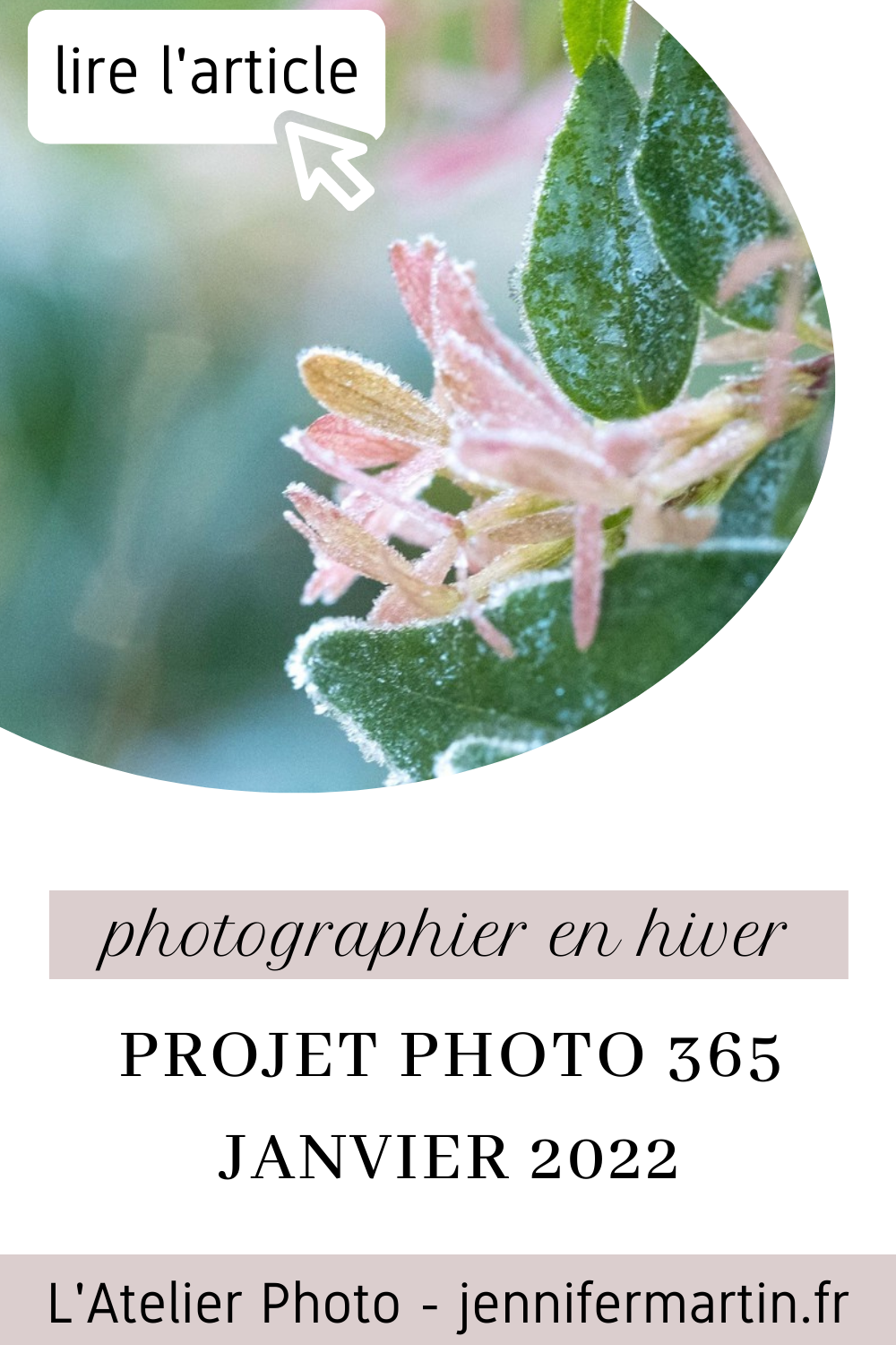 Projet photo 365 - un mois de janvier coloré