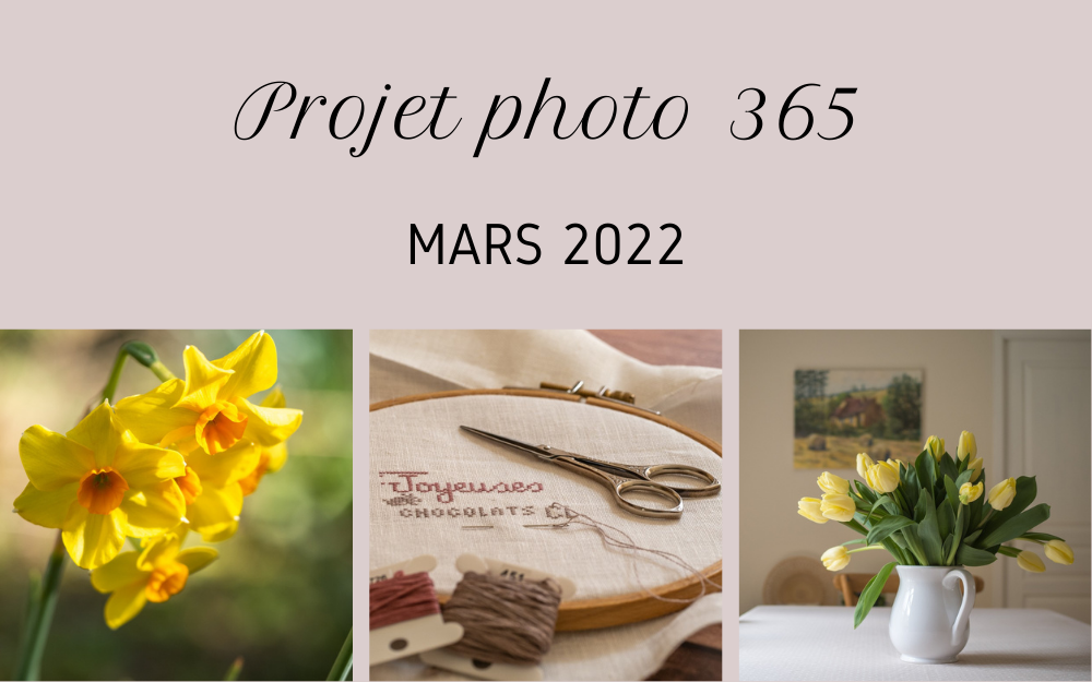 Projet photo 365 – mars 2022