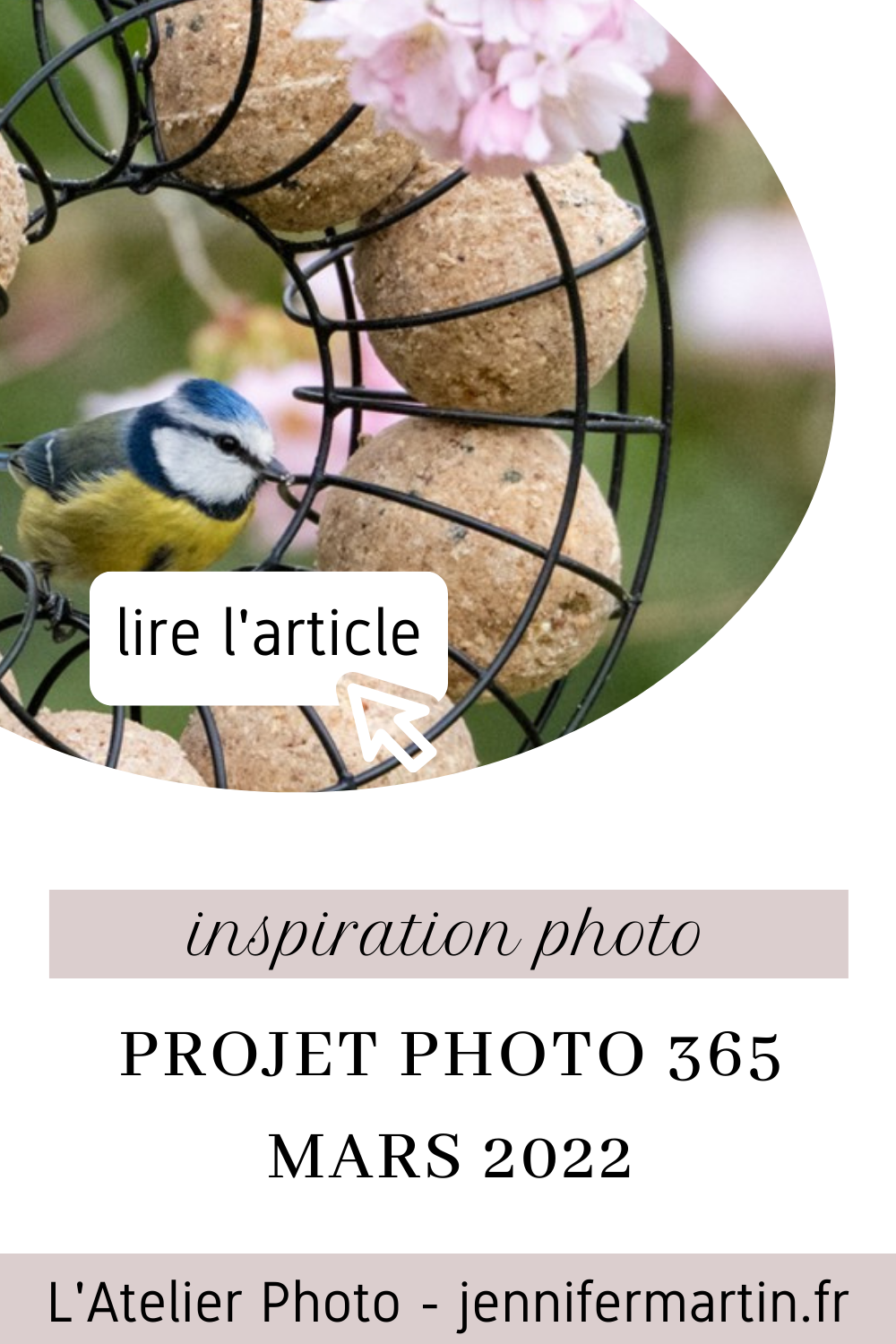 Projet photo 365 - inspiration photo