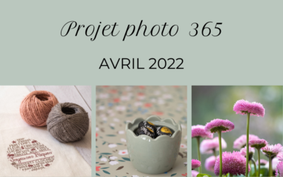 Projet photo 365 – avril 2022