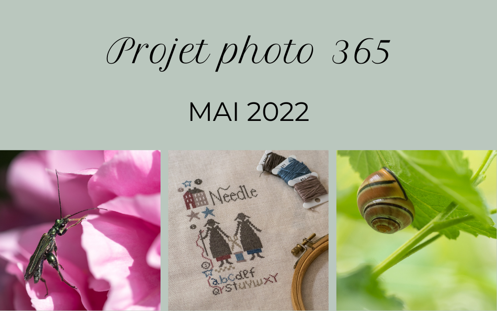 Projet photo 365 – mai 2022