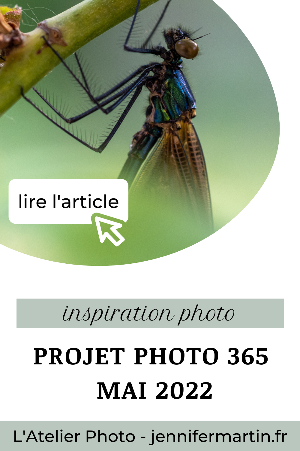 Projet photo 365 - inspiration photo