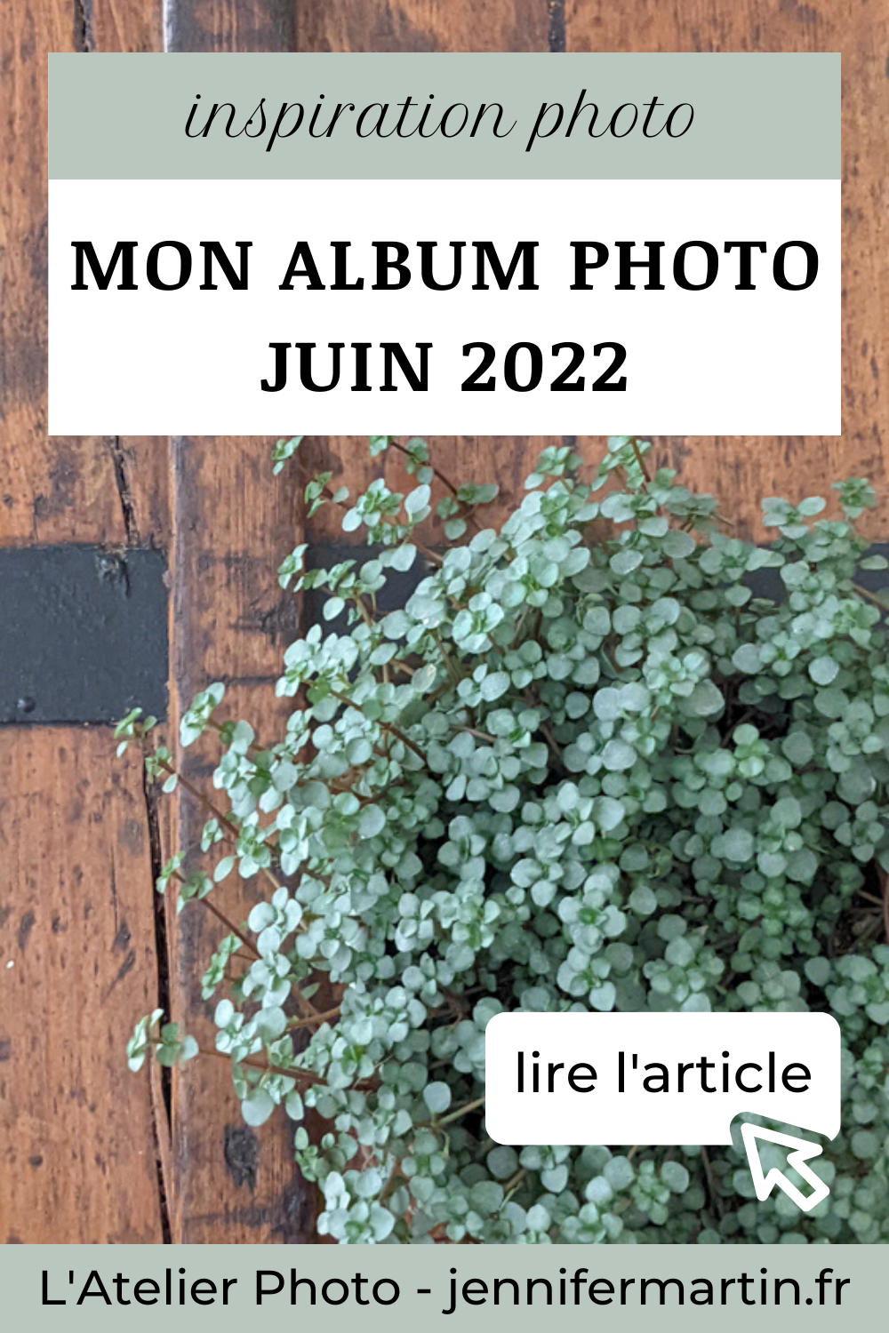 L'Atelier Photo | Album du mois de juin 2022