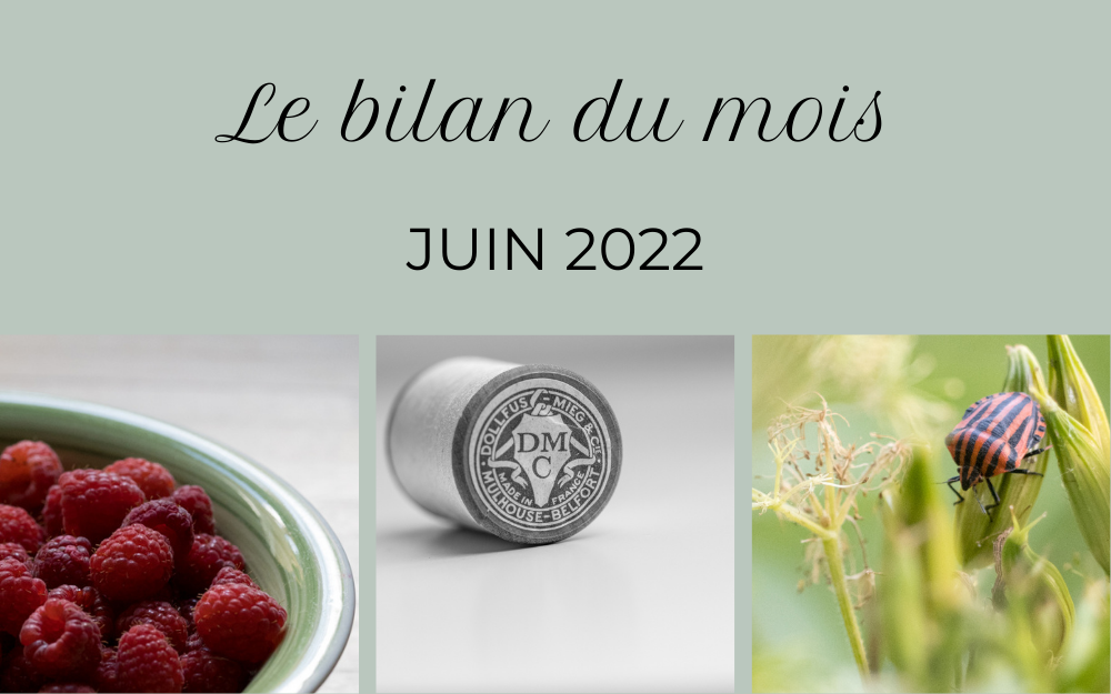 L'Atelier Photo | Album du mois de juin 2022