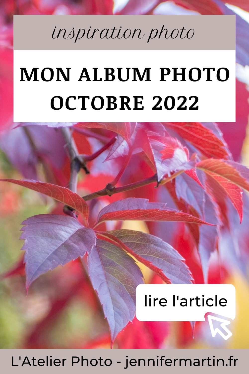 Projet photo 365 - photographier l'automne