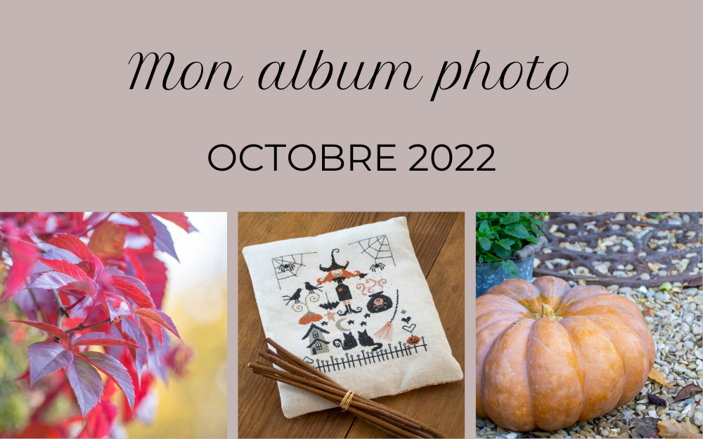 Album photo du mois – octobre 2022