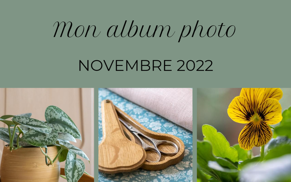 Album photo du mois – novembre 2022