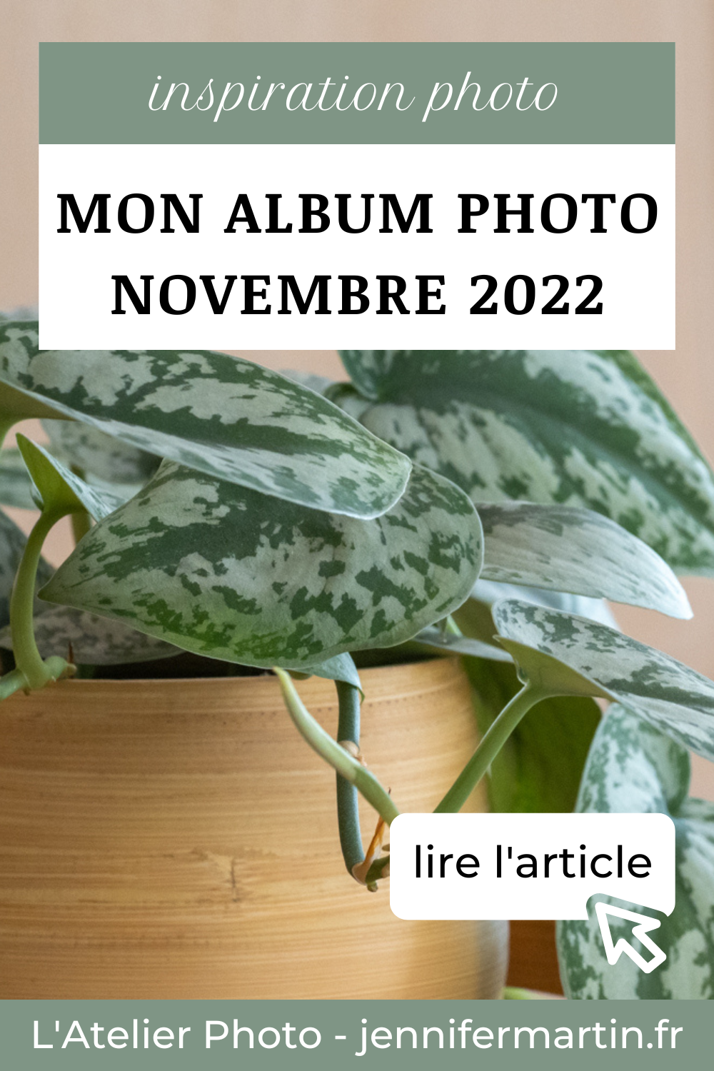 L'Atelier Photo | L'album du mois de novembre 2022